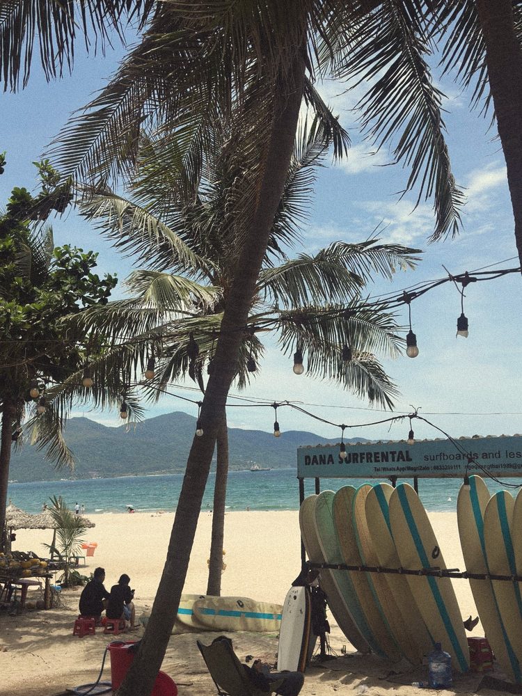 Surfboards under palms on the beach