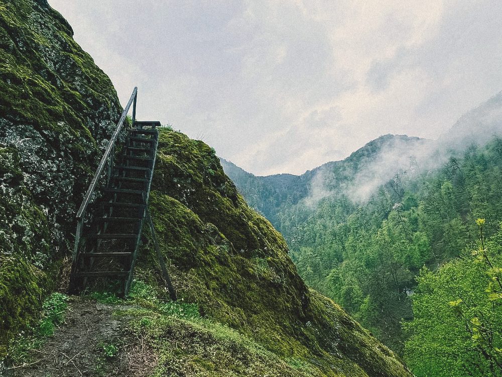 Wooden stairs on a mossy cliff